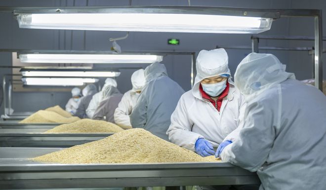 大蒜 從蒜農手中走向餐桌的農產品