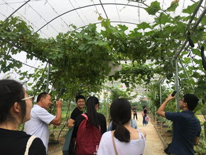 深化專業(yè)認(rèn)知，筑牢安全基石——記四年制高職本科食品質(zhì)量與安全專業(yè)農(nóng)產(chǎn)品安全生產(chǎn)認(rèn)知實習(xí)