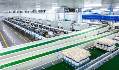 重慶食用菌產(chǎn)業(yè)崛起 戰(zhàn)略引領(lǐng)下的第五大農(nóng)產(chǎn)品新篇章