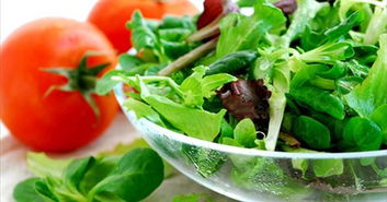 東莞虎門 現(xiàn)代農(nóng)業(yè)配送體系的構(gòu)建與農(nóng)產(chǎn)品的標(biāo)準(zhǔn)化生產(chǎn)