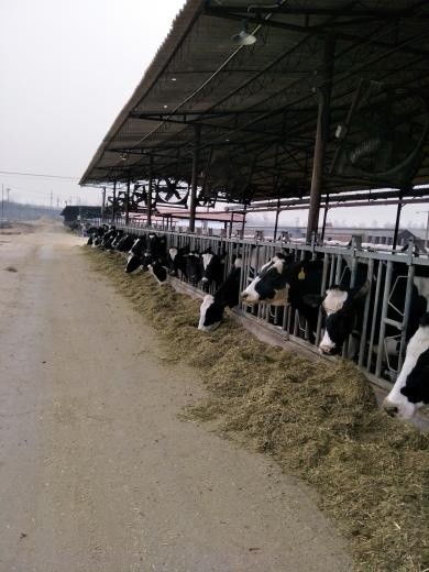 筑牢農(nóng)產(chǎn)品安全基石 解讀四項(xiàng)生產(chǎn)質(zhì)量控制新規(guī)