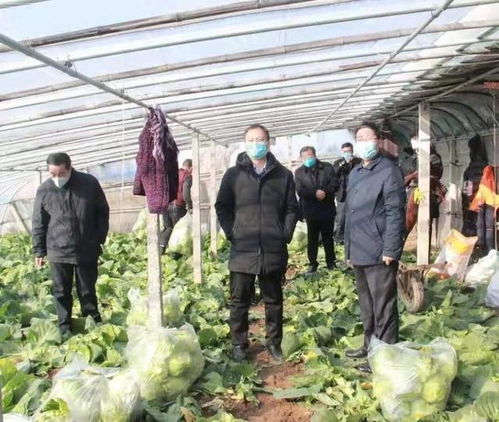 筑牢農(nóng)產(chǎn)品供應(yīng)保障線——臨沂市農(nóng)業(yè)農(nóng)村局督導(dǎo)莒南縣穩(wěn)產(chǎn)保供工作