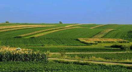 守好“米袋子”與“菜籃子” 糧食生產(chǎn)功能區(qū)和重要農(nóng)產(chǎn)品生產(chǎn)保護(hù)區(qū)迎來定向扶持新機(jī)遇